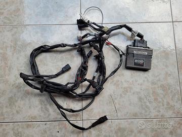 Rapid Bike Evo BMW / Husqvarna