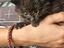 Immagine 5