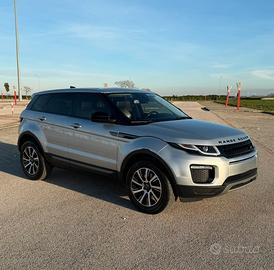 Range Rover Evoque 2.0 TD4 150 CV
