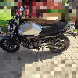 Yamaha FZ6 - 2010 seconda serie