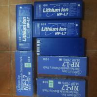 batterie telecamera con caricabatterie 