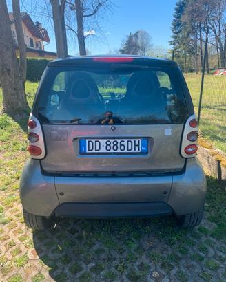 Smart For Two adattata per disabili