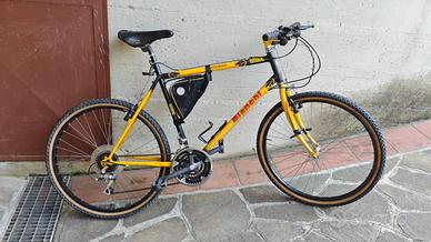 bicicletta mountanbike