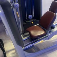 TECHNOGYM LEG PRESS