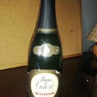 bottiglia di vino da collezione 