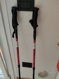 bastoni da nordic wolking