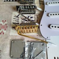 PONTI TREMOLO CHITARRA ELETTRICA