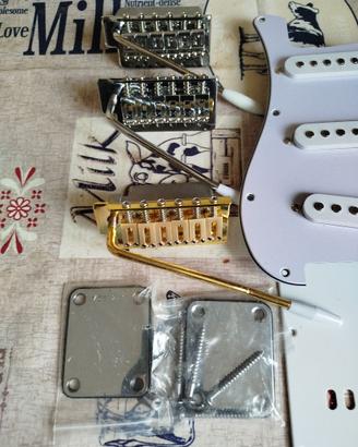 PONTI TREMOLO CHITARRA ELETTRICA