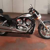 Harley Davidosn V-Rod 1130 Screamin Eagle special