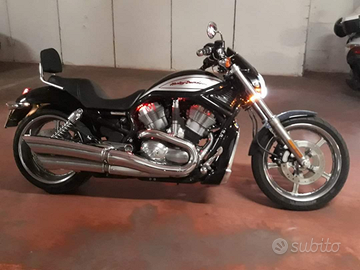 Harley Davidosn V-Rod 1130 Screamin Eagle special