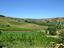 Immagine 12