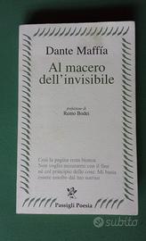 Al macero dell'invisibile di Dante Maffìa