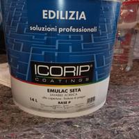 tintura professionale per pareti  interne