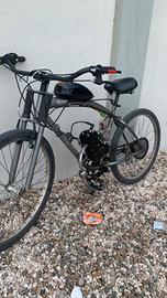 Bici a motore