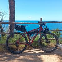 wilier triestina mtb