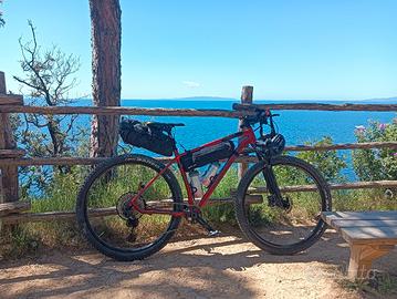 wilier triestina mtb