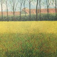 Oliviero Masi,Risaia,1986