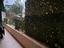 Immagine 22