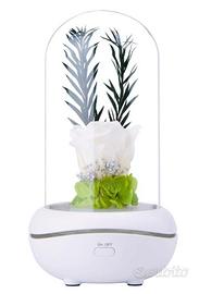 Rosa Eterna Lampada per Aromaterapia Bianca