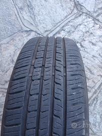 Gomme Estive 