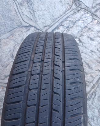Gomme Estive 