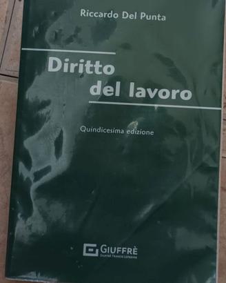 TESTO UNIVER DIRITTO DEL LAVORO ED 15  DEL PUNTA