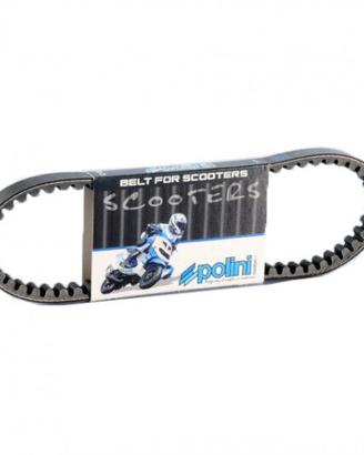 Cinghia variatore Polini per Minarelli orrizzontal