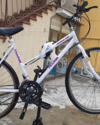 Mountain bike