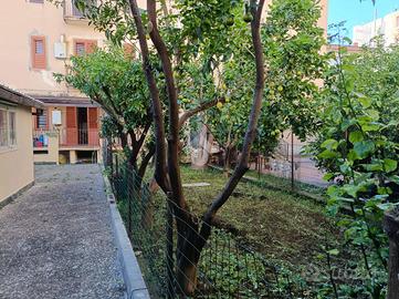 Caserta via Patturelli appartamento con giardino