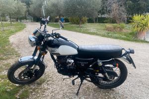 MASH SEVENTY FIVE 125 usata