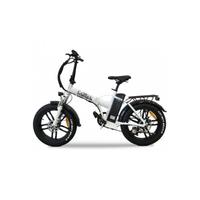 BICI ELETTRICA EBIKE LEM ORLANDO COMFORT 36V 250W 