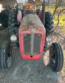 Massey Ferguson 35
