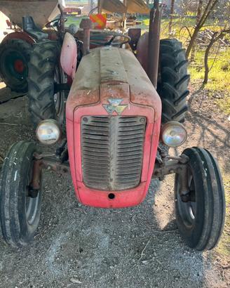 Massey Ferguson 35