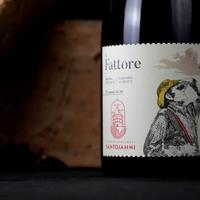Vino - Il Fattore 2022