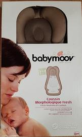 Cuscino riduttore per ovetto