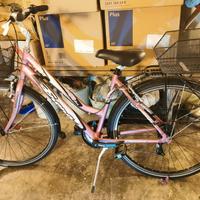 Bicicletta city bike da donna