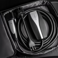 Connettore mobile Tesla