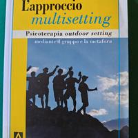 L'approccio multisetting - S. Paluzzi - psicologia