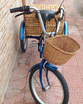 cargo bike bicicletta a tre ruote 