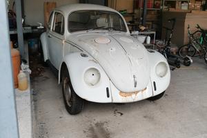 Volkswagen Maggiolino 1300 (1968) - buona  per  re