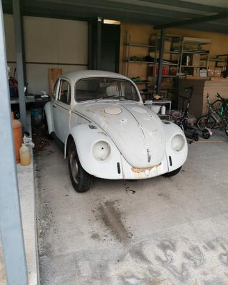 Volkswagen Maggiolino 1300 (1968) - buona  per  re