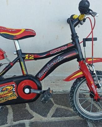 bicicletta da bambino