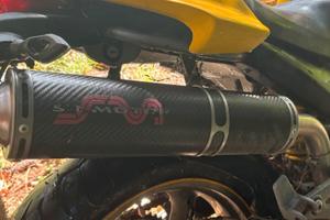 marmitte ducati monster 620