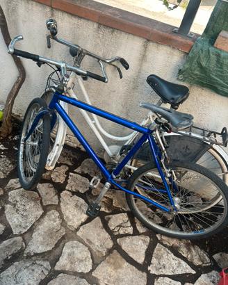 Mountain bike