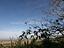 Immagine 10