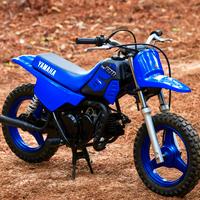 Yamaha PW 50 mini Cross