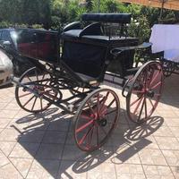 Carrozza mod. Spider (025)