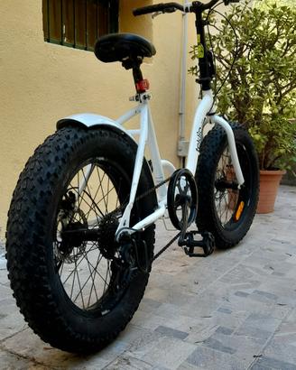 Fat Bike Pieghevole da 20"