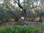 Immagine 5