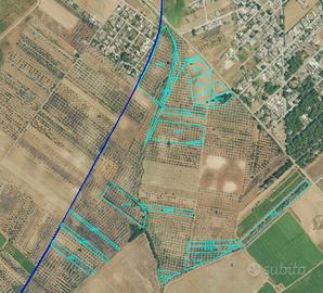 Terreno Olivetato 12,6HA Torchiarolo Case Bianche